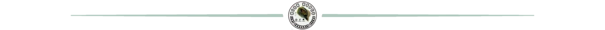 HighHopes-Divider-1.png