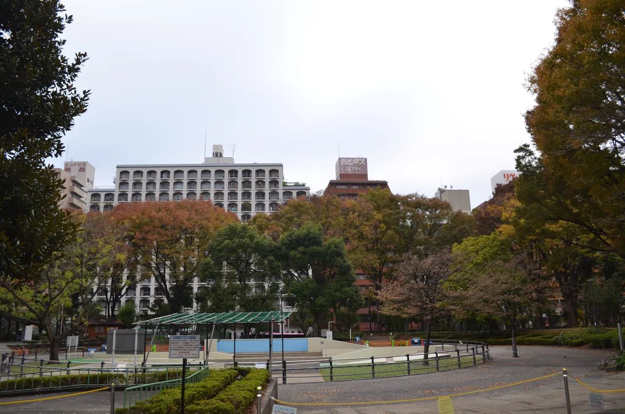 File1331.JPG