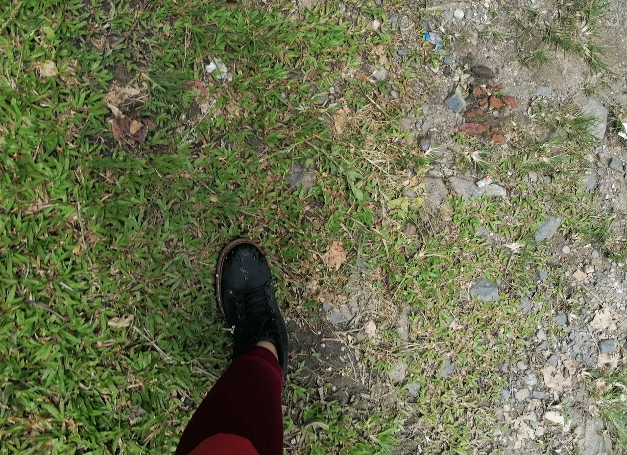IMG_20230422_191802.jpg