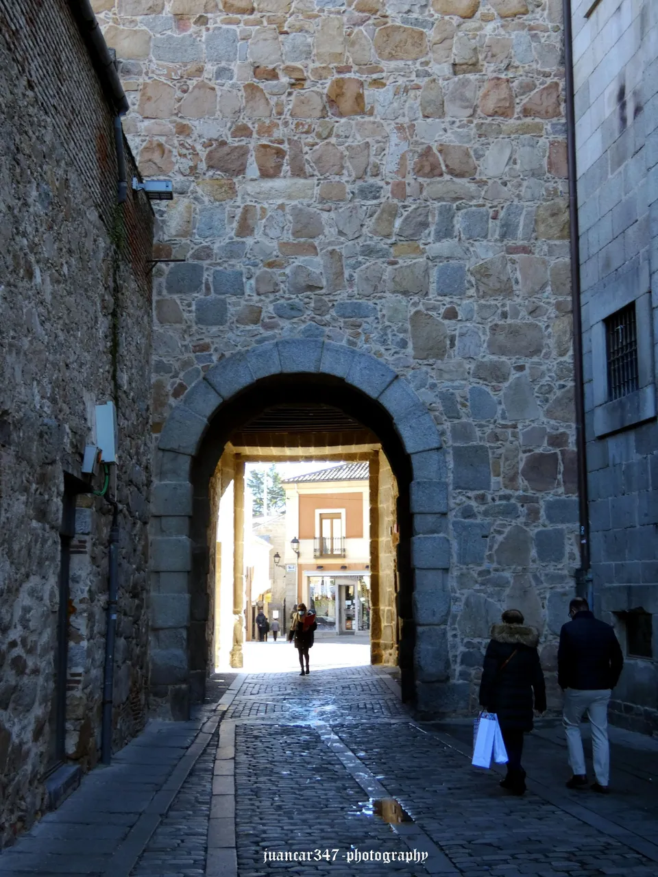 P1100176_acopia.jpg