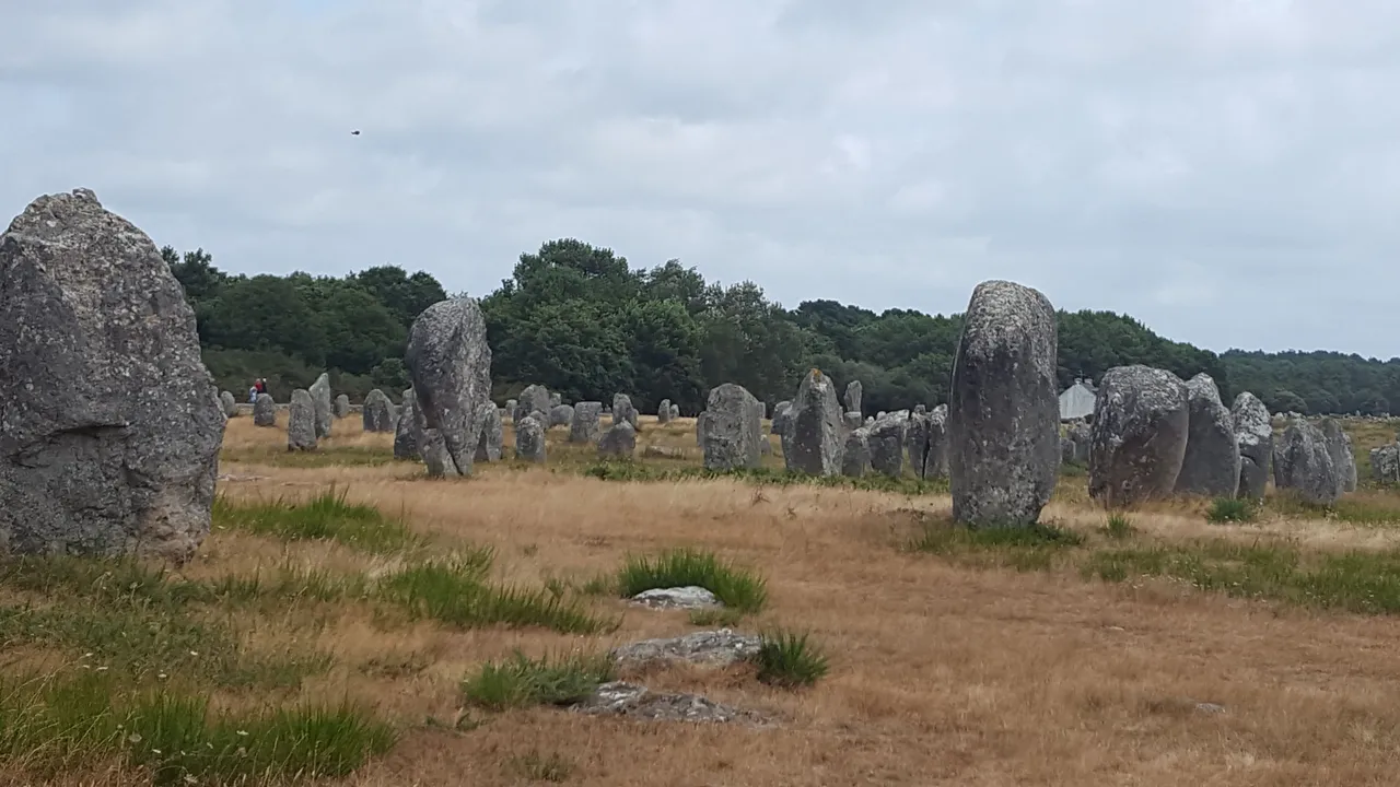 20190730_133425.jpg