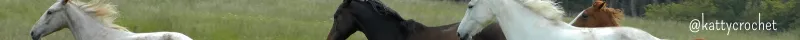 ¡Bienvendos a mi blog (1).png