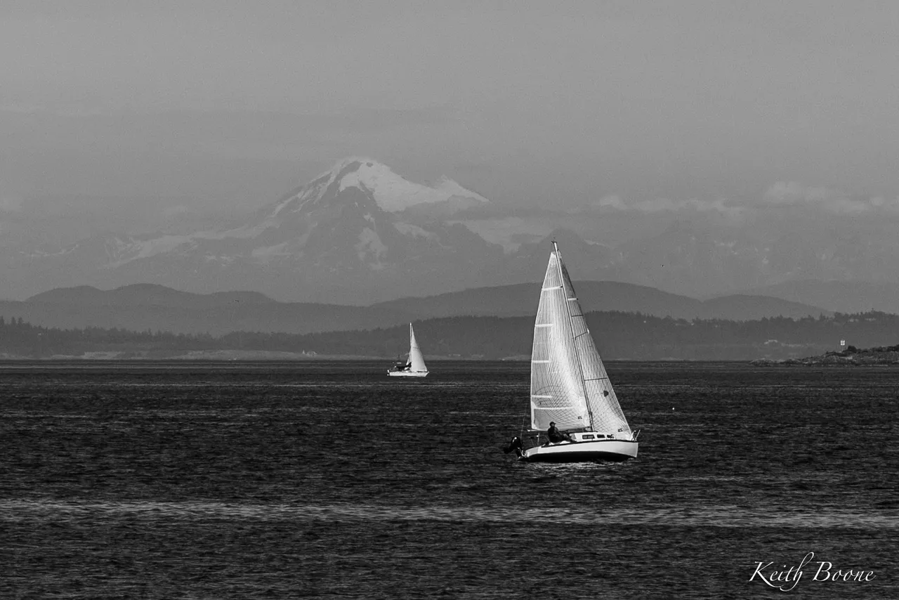 DSC_8261.jpg