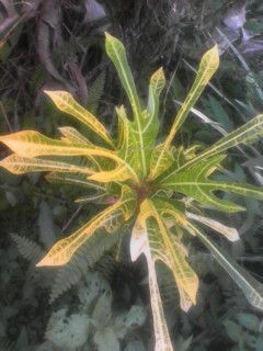 IMG_20211031_153604.jpg