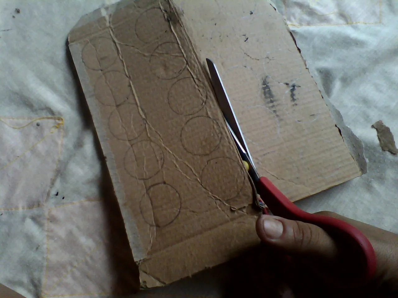 IMG01336.jpg
