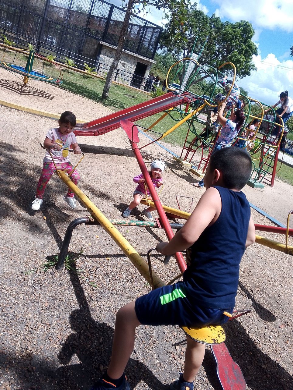 IMG_20260222_121840_787.jpg