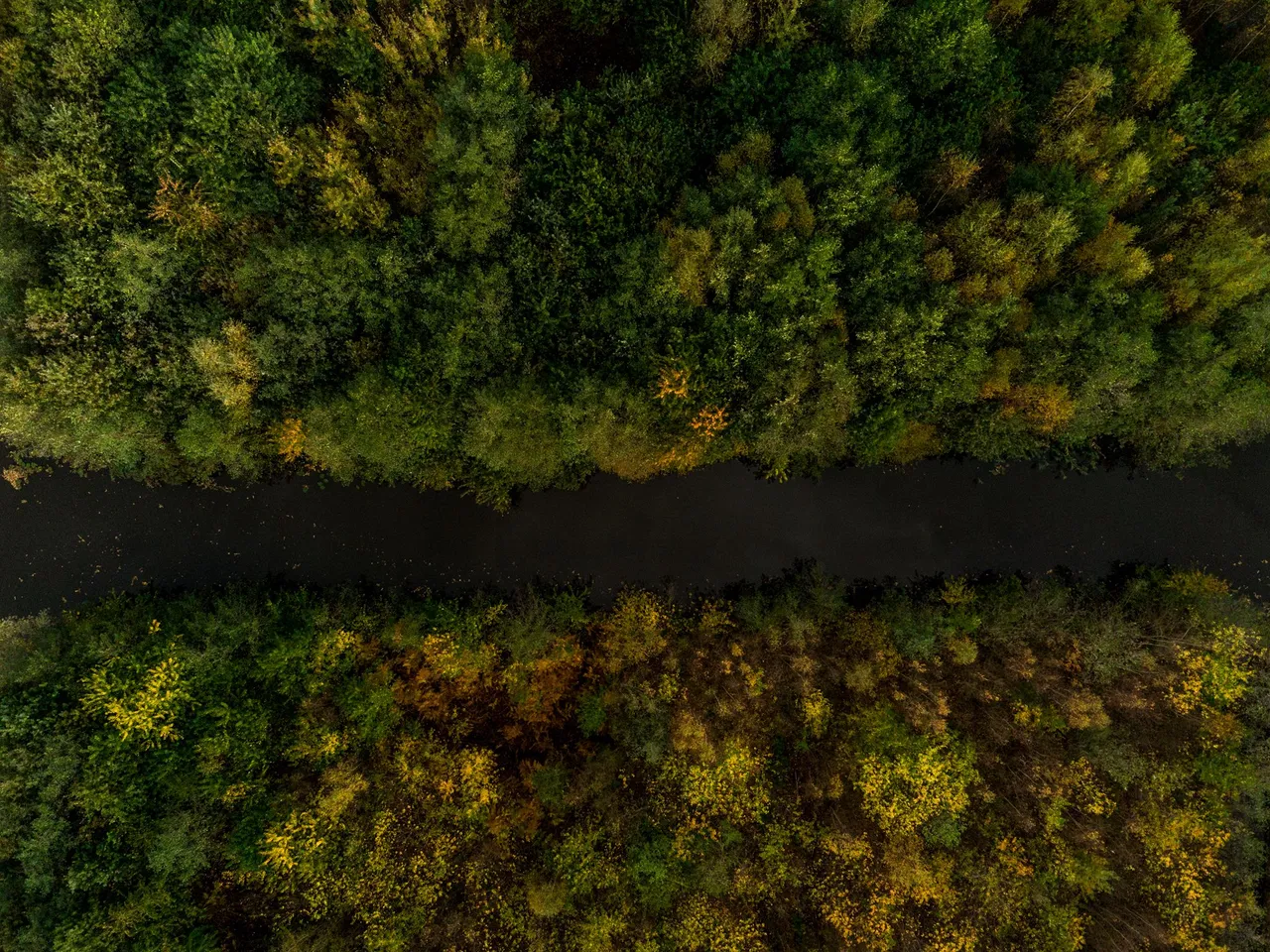 DJI_0930.jpg