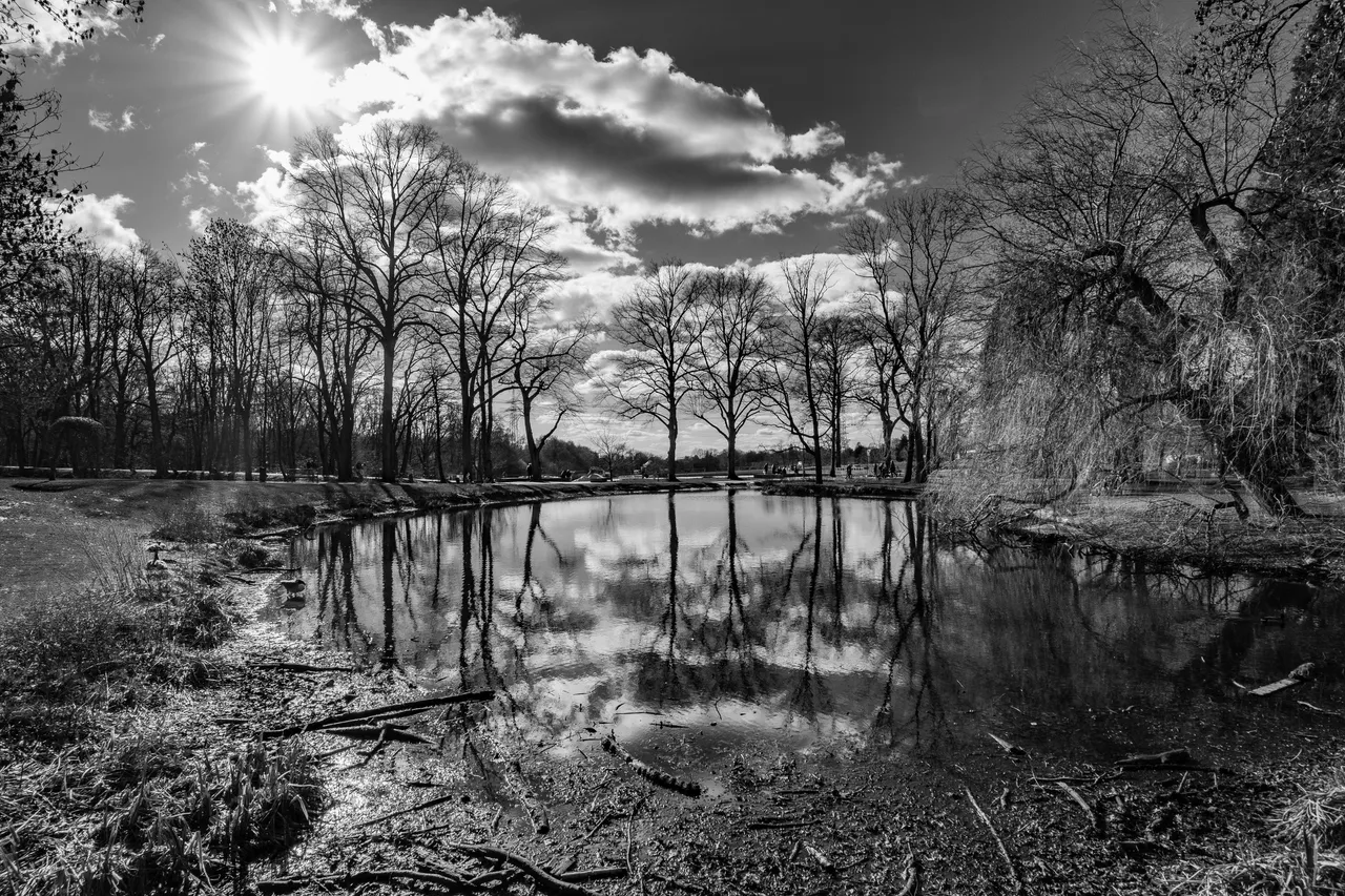 20230226_XT205823_Situation_Kunst_Teich Spiegel SW.JPG