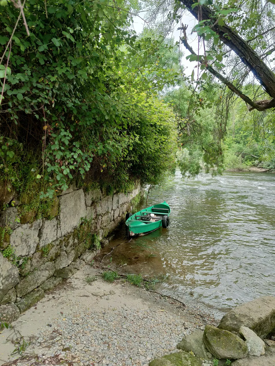 IMG20240521090407.jpg