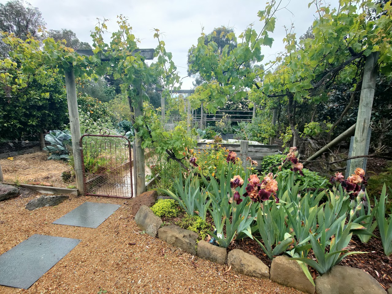Hi, My Name is Riverflows & I'm a Hive Gardener: Introducing Myself for the QOTW