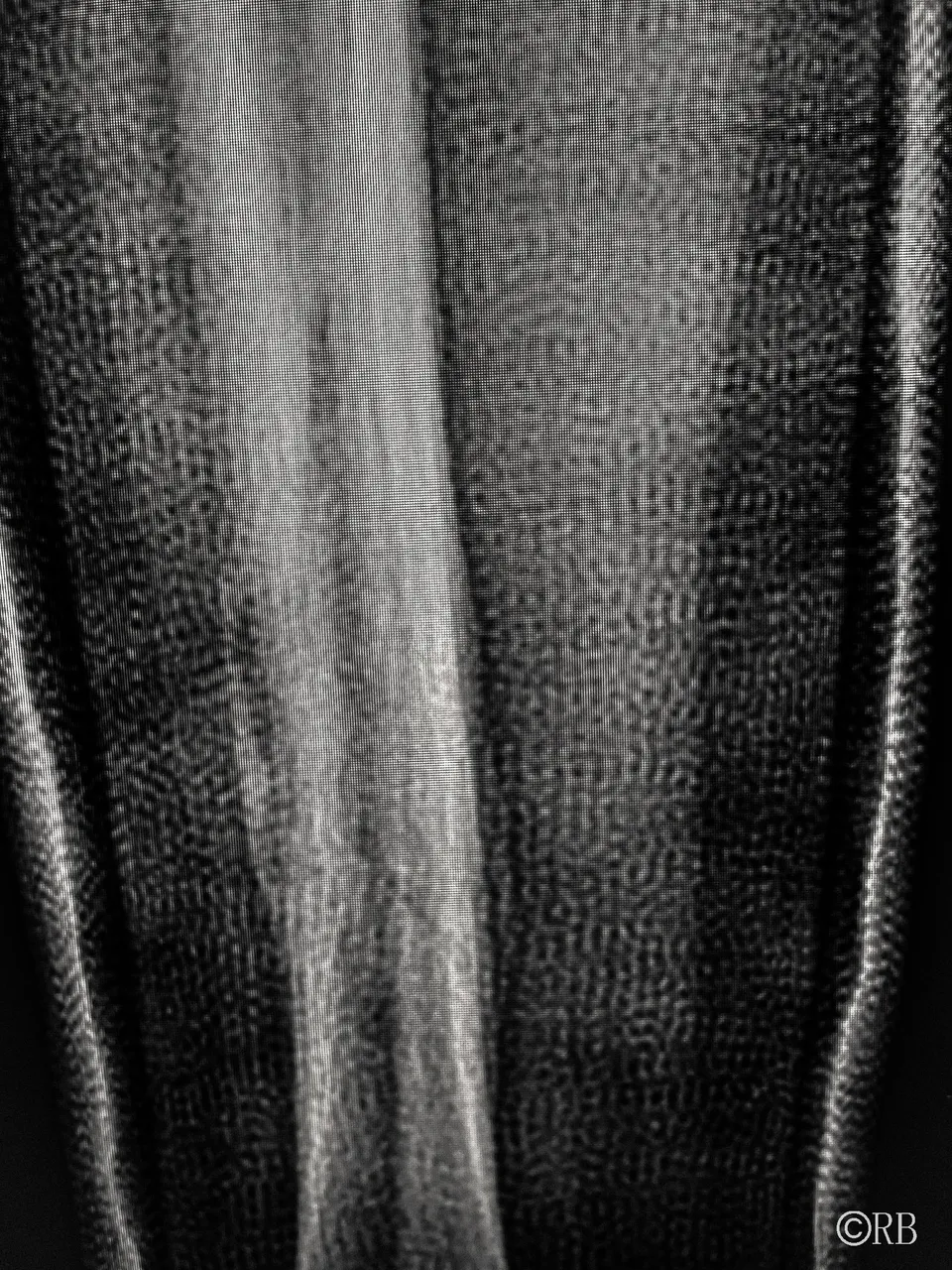IMG_6485.jpg