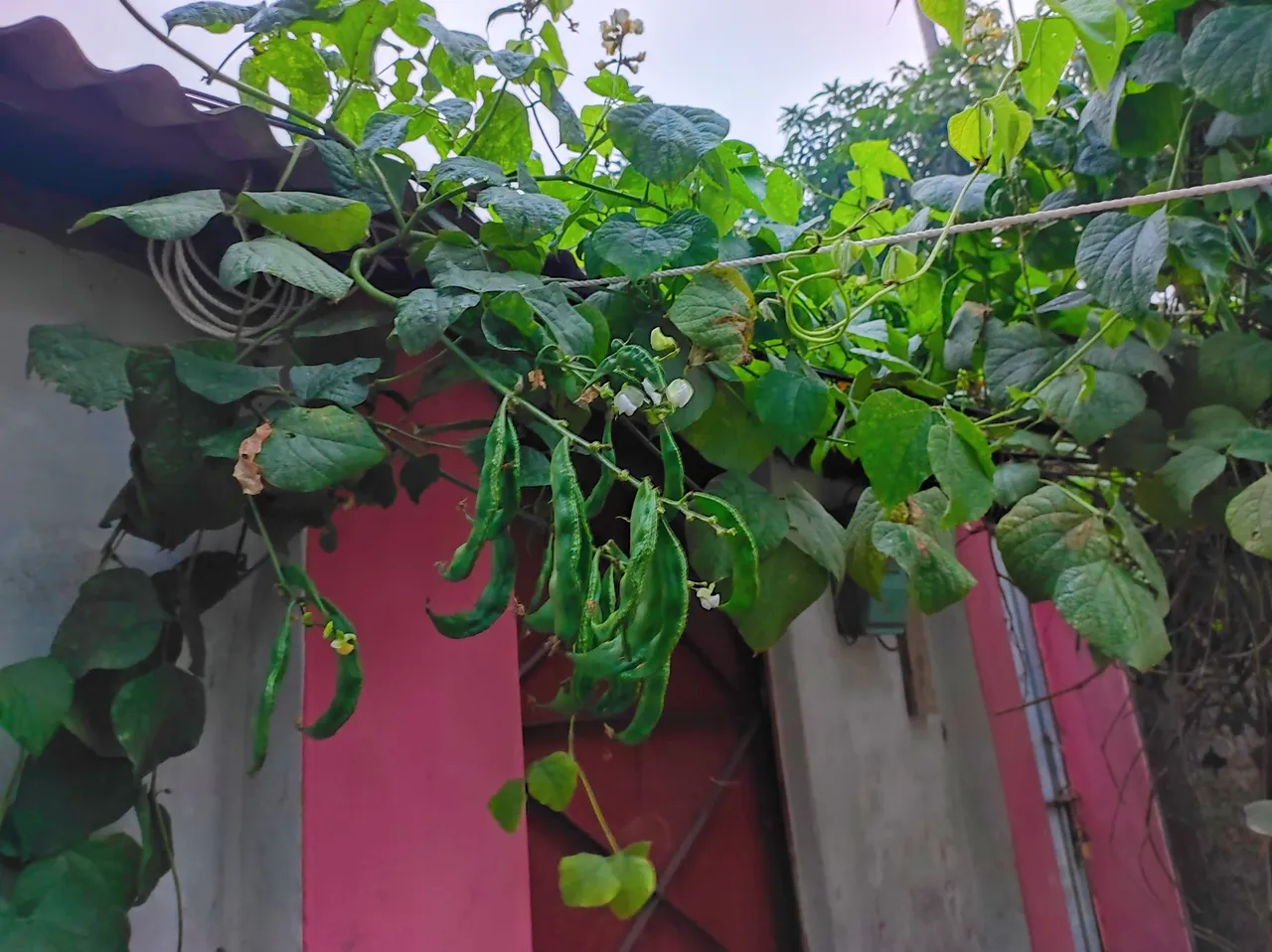 IMG_20220124_164655.jpg