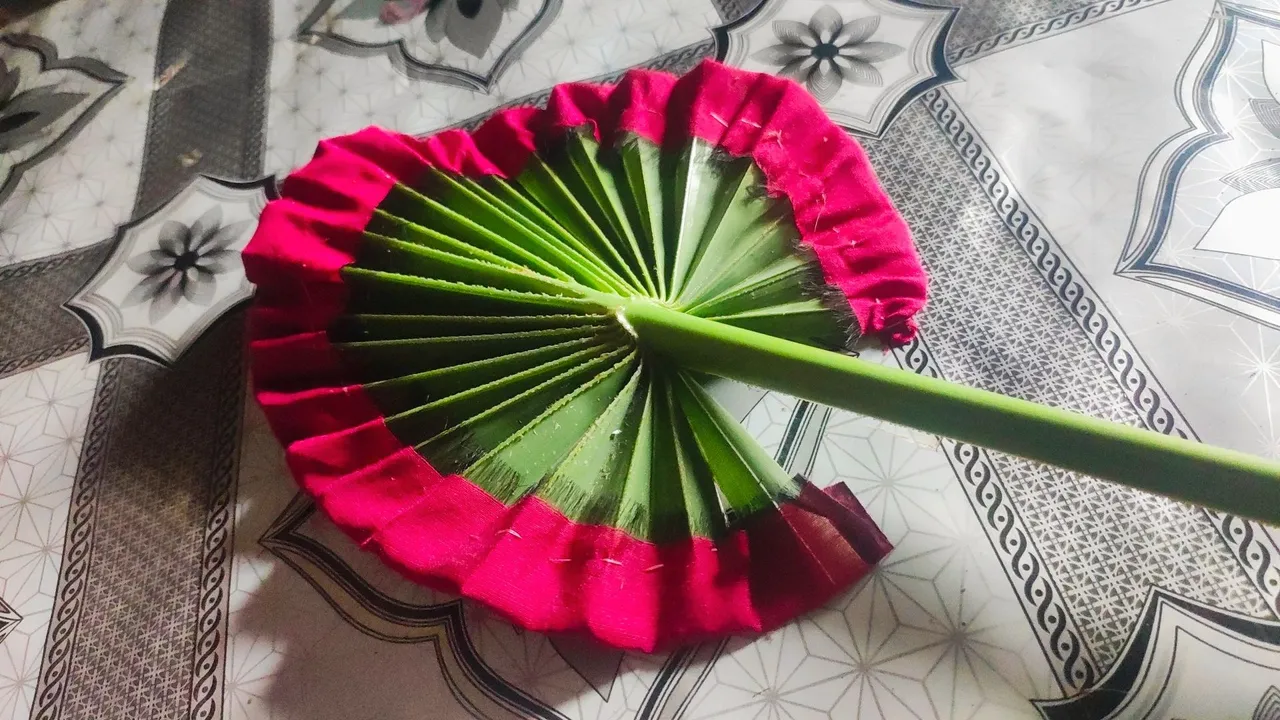 1000035879.jpg