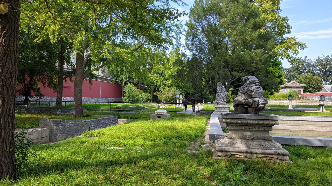 PXL_20230929_140416401.jpg