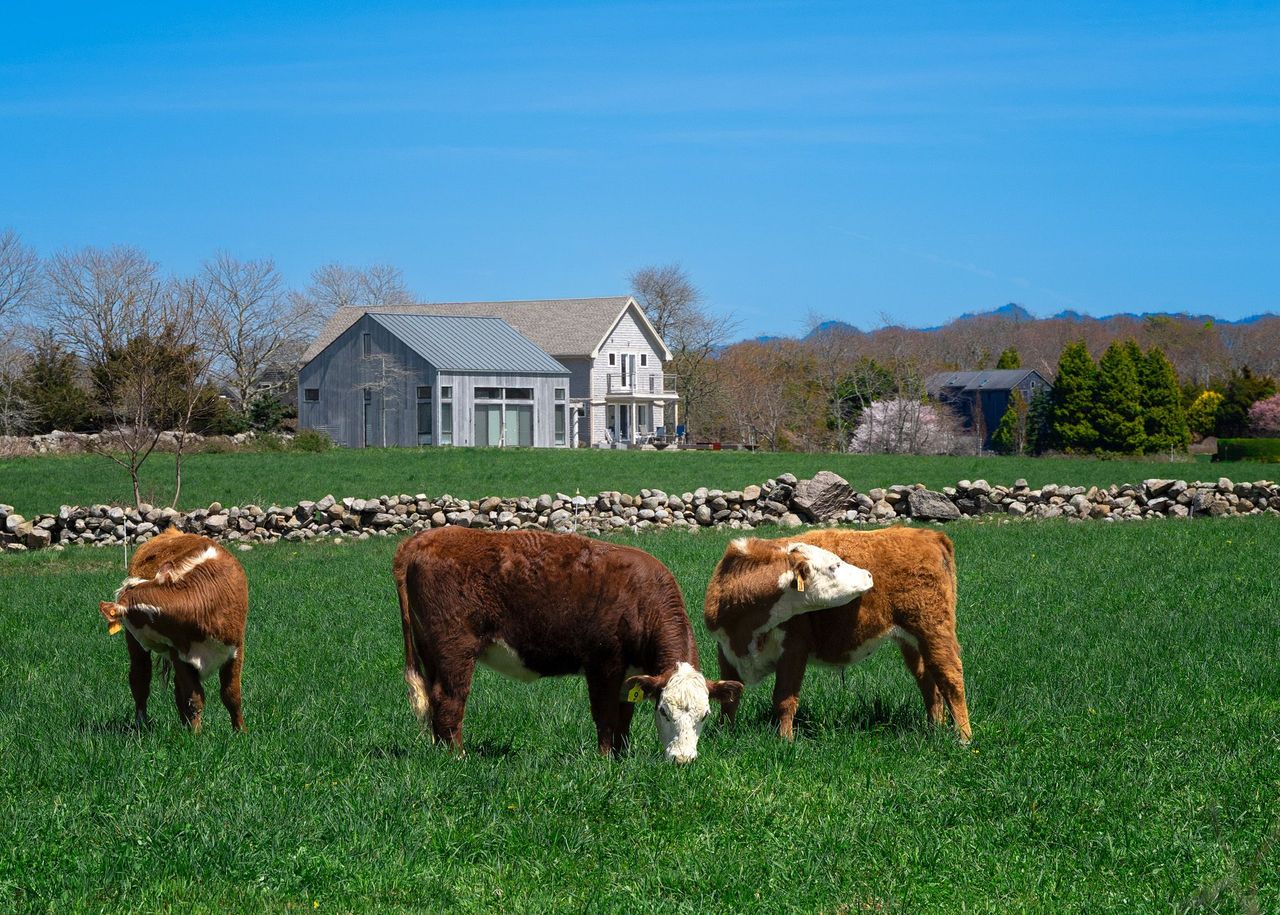 ocean view farm walk.jpg