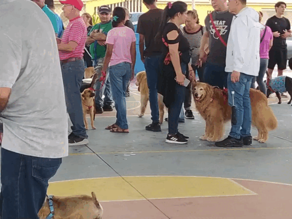 VID_20260425_100046.gif