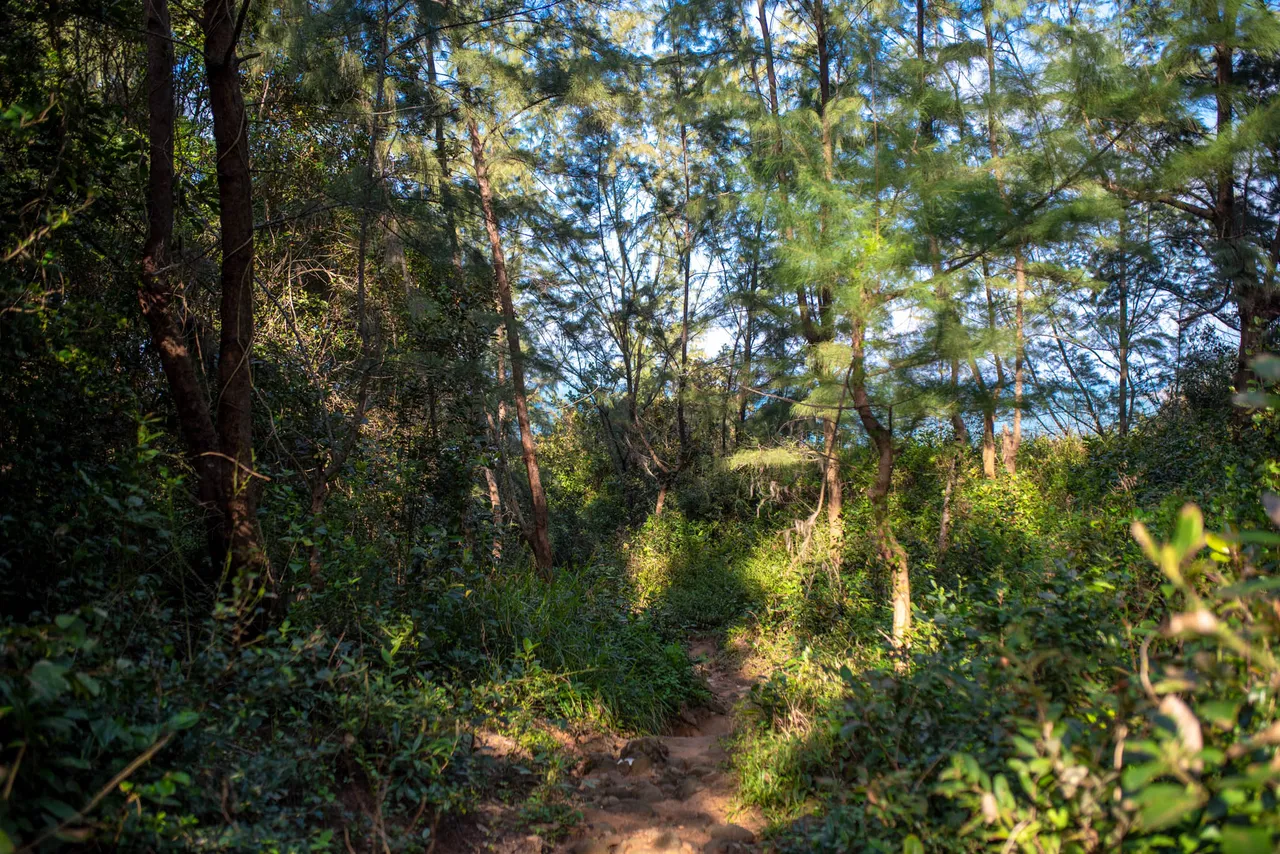 DSC_6264.JPG