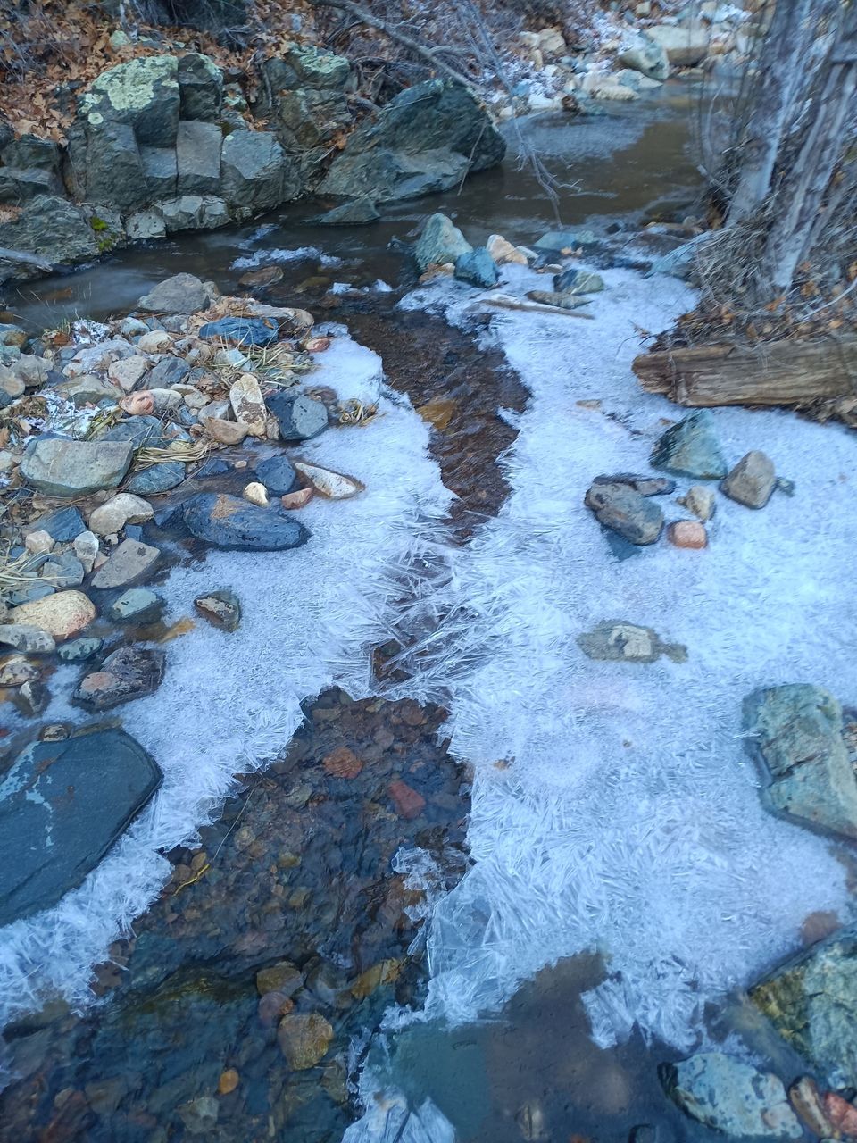 Icy wonderland 