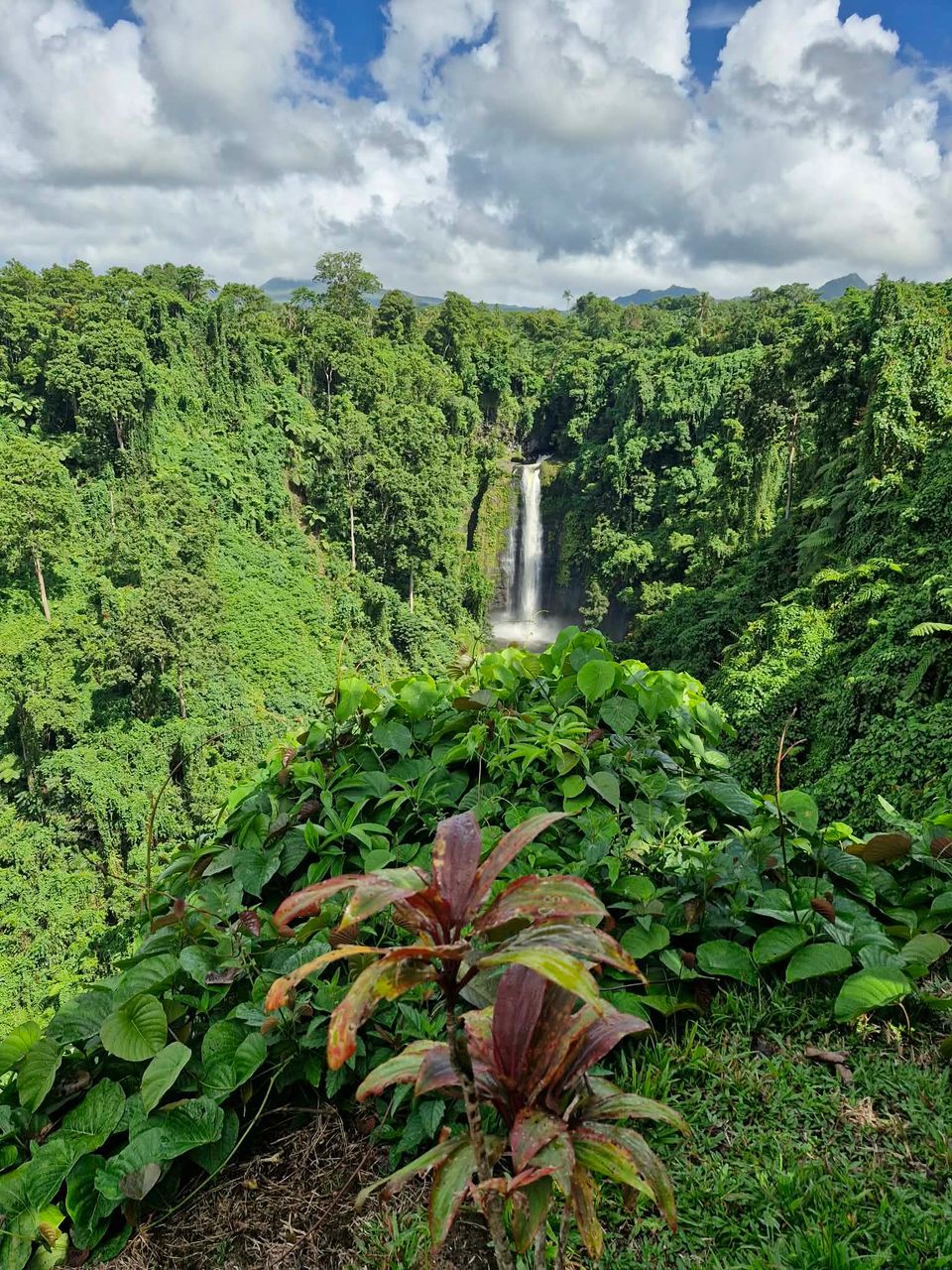 Sopoaga falls Samoa.