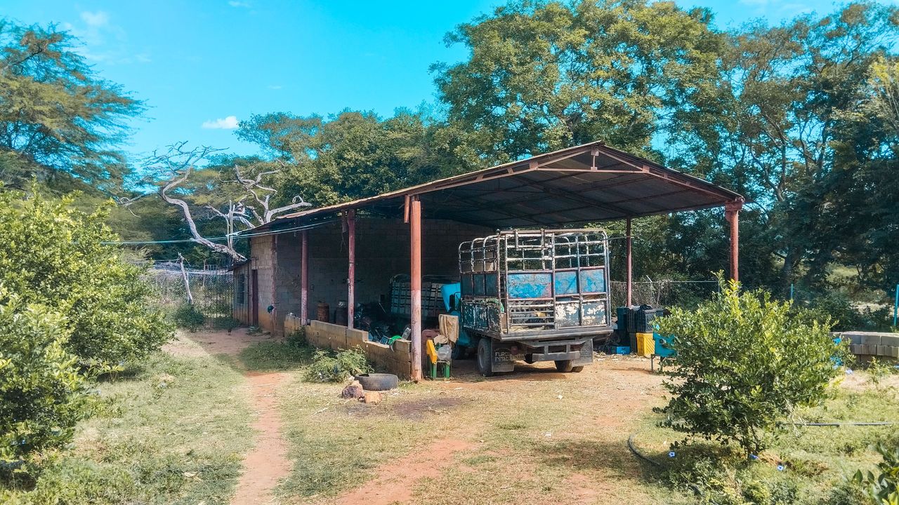 Un día en Campo Alegre, Edo Lara, Venezuela 