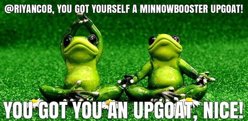 @riyancob got you a $7.71 @minnowbooster upgoat, nice!