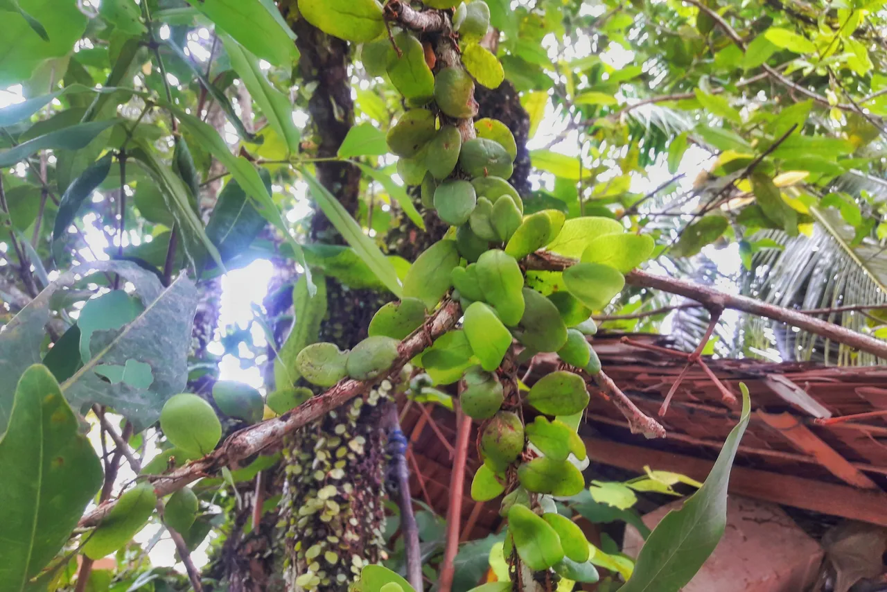20200626_09312001.jpeg