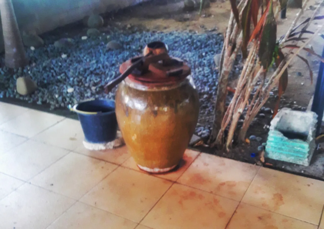 20200602_16291501.jpeg