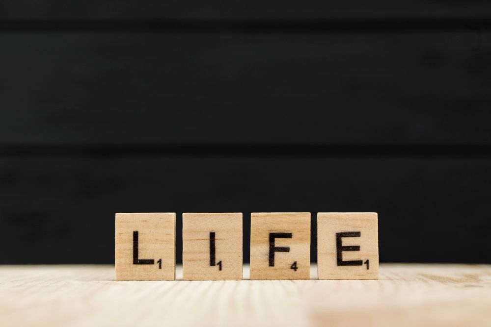 SUCH IS LIFE