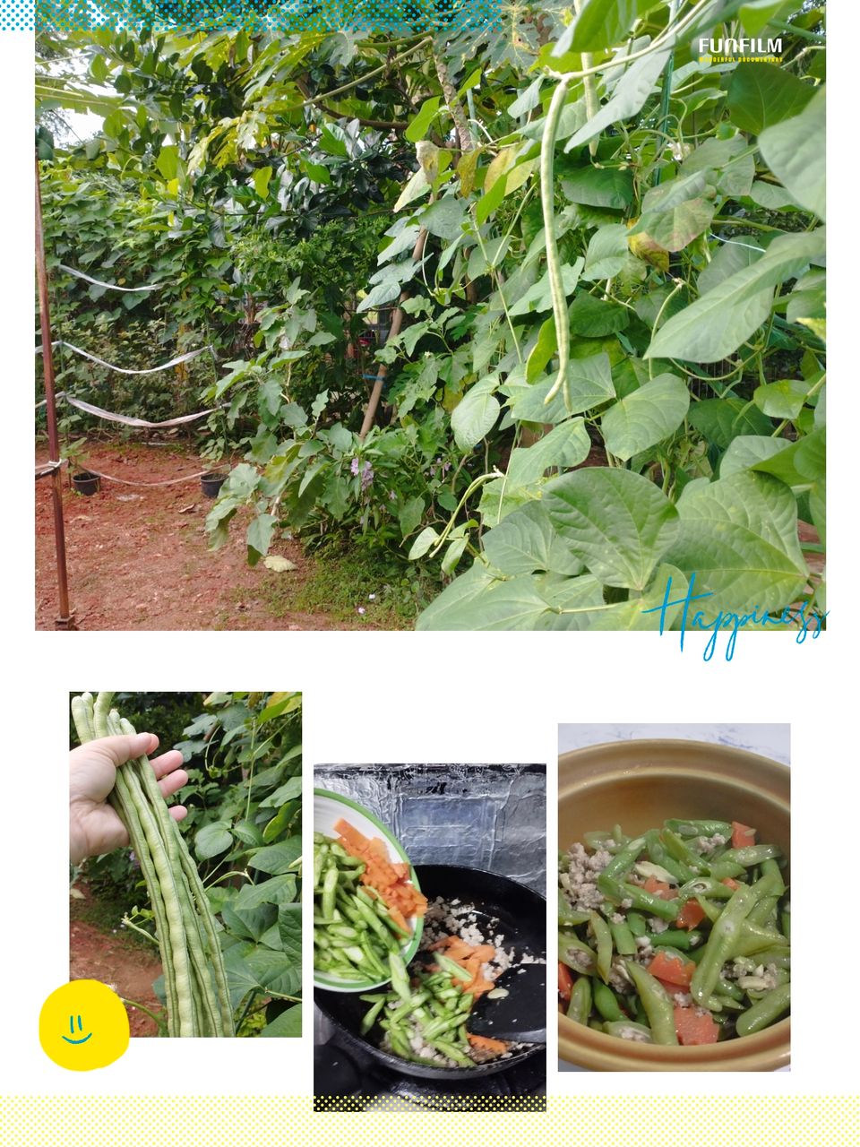 My family and I not a picky eater with simple food my wife cooks from vegetables in our home garden, Stir-fried yardlong bean with minced pork in oyster sauce.