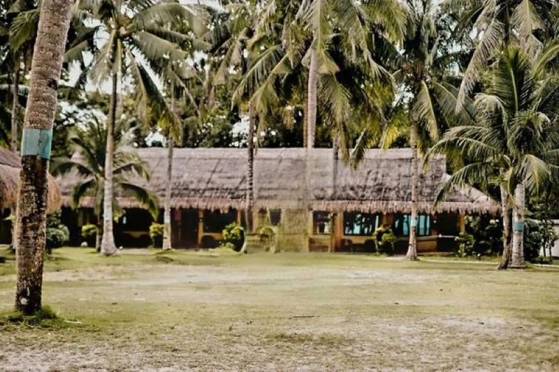 " " \" \"palms3.jpg\"\"""