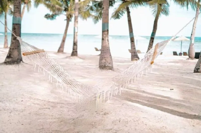" " \" \"swing3.jpg\"\"""