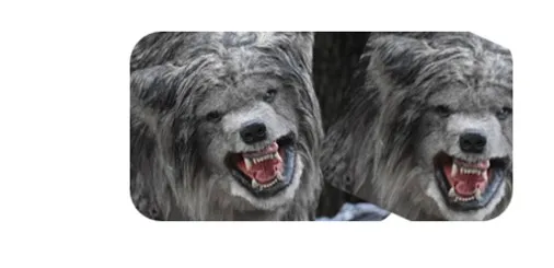 wolves.jpg