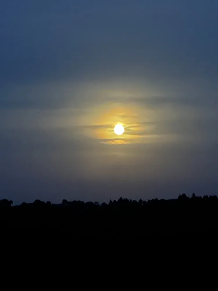 sunset.jpg