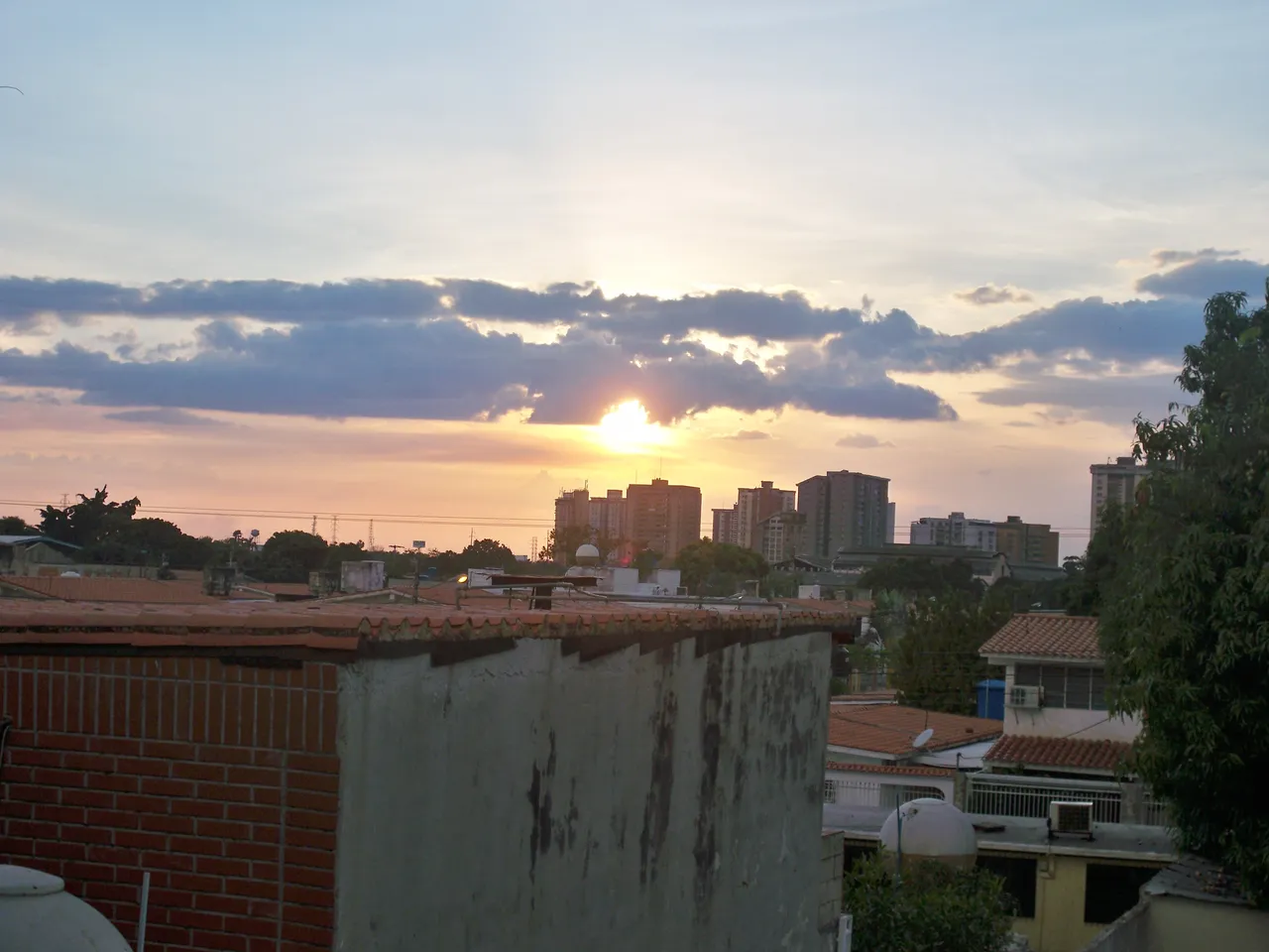 TC 019.JPG