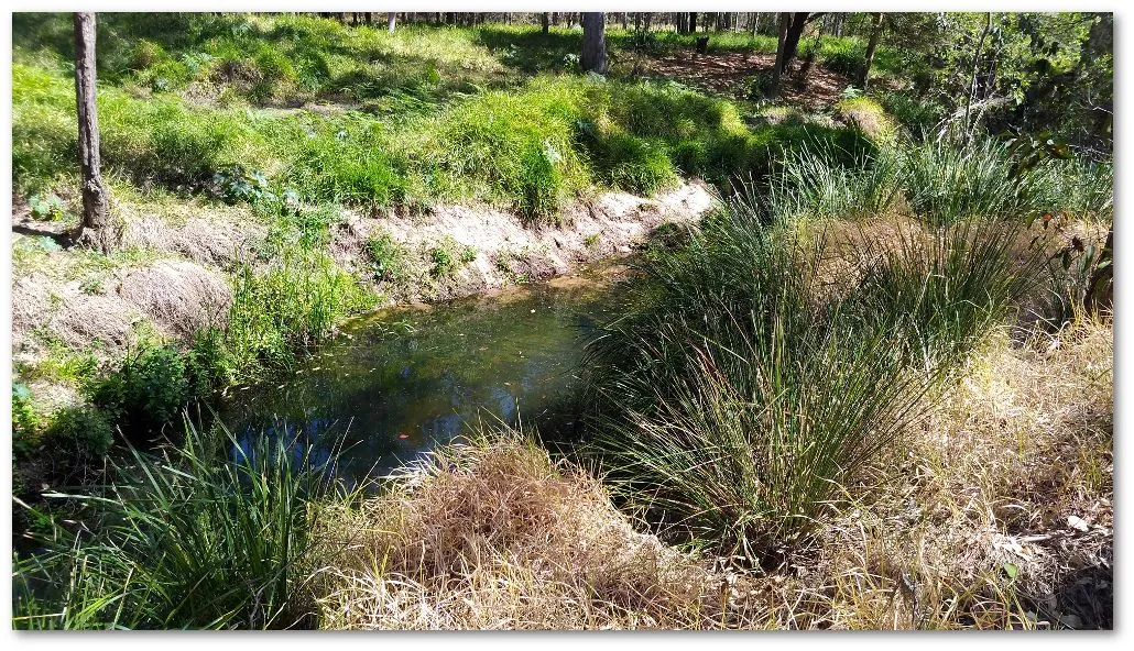 river.jpg