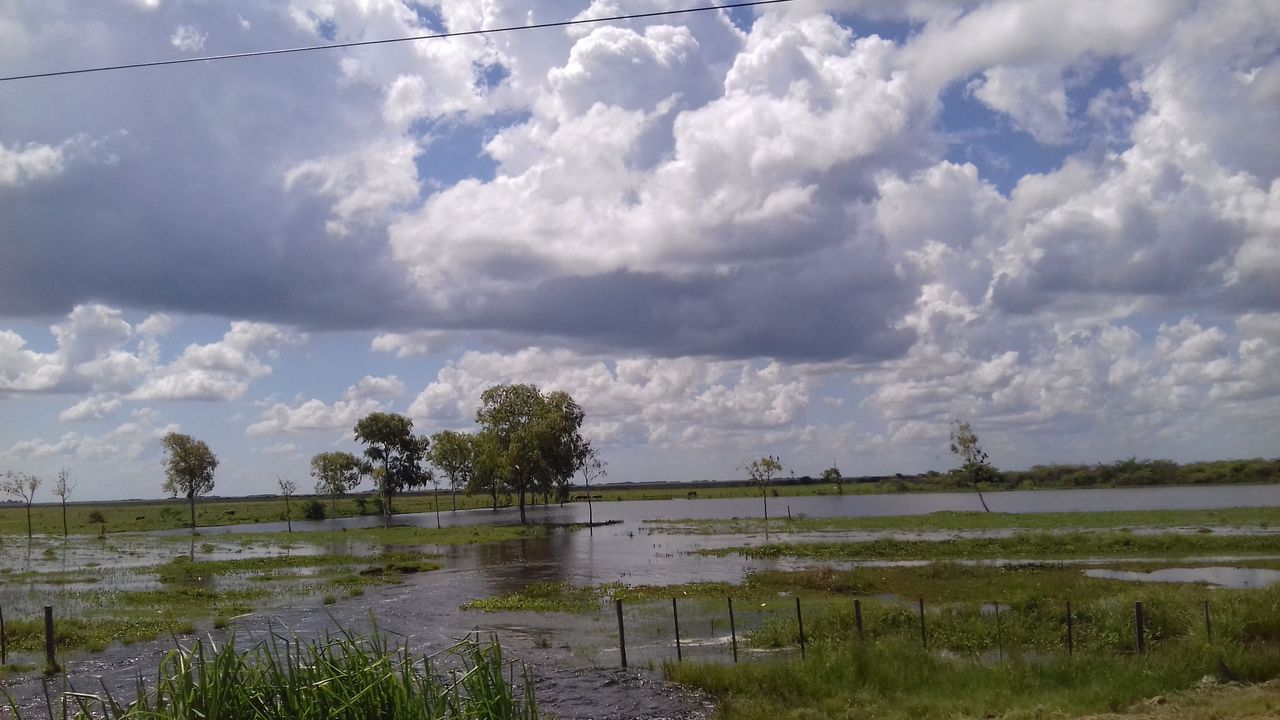 paseo.jpg