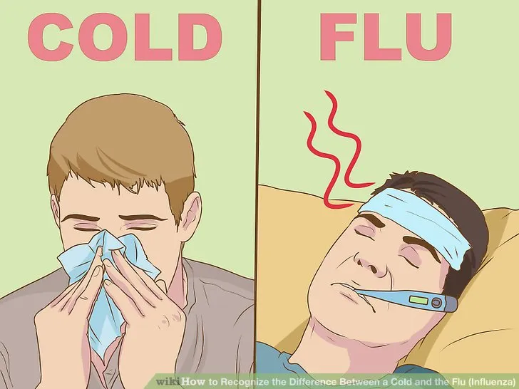 cold-and-flu.jpg