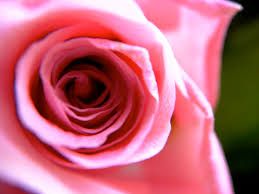 inner beauty.jpg