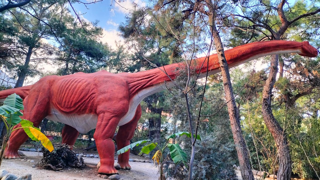 Jurassic Day /  Jurassic Günü  ( EN-TR)