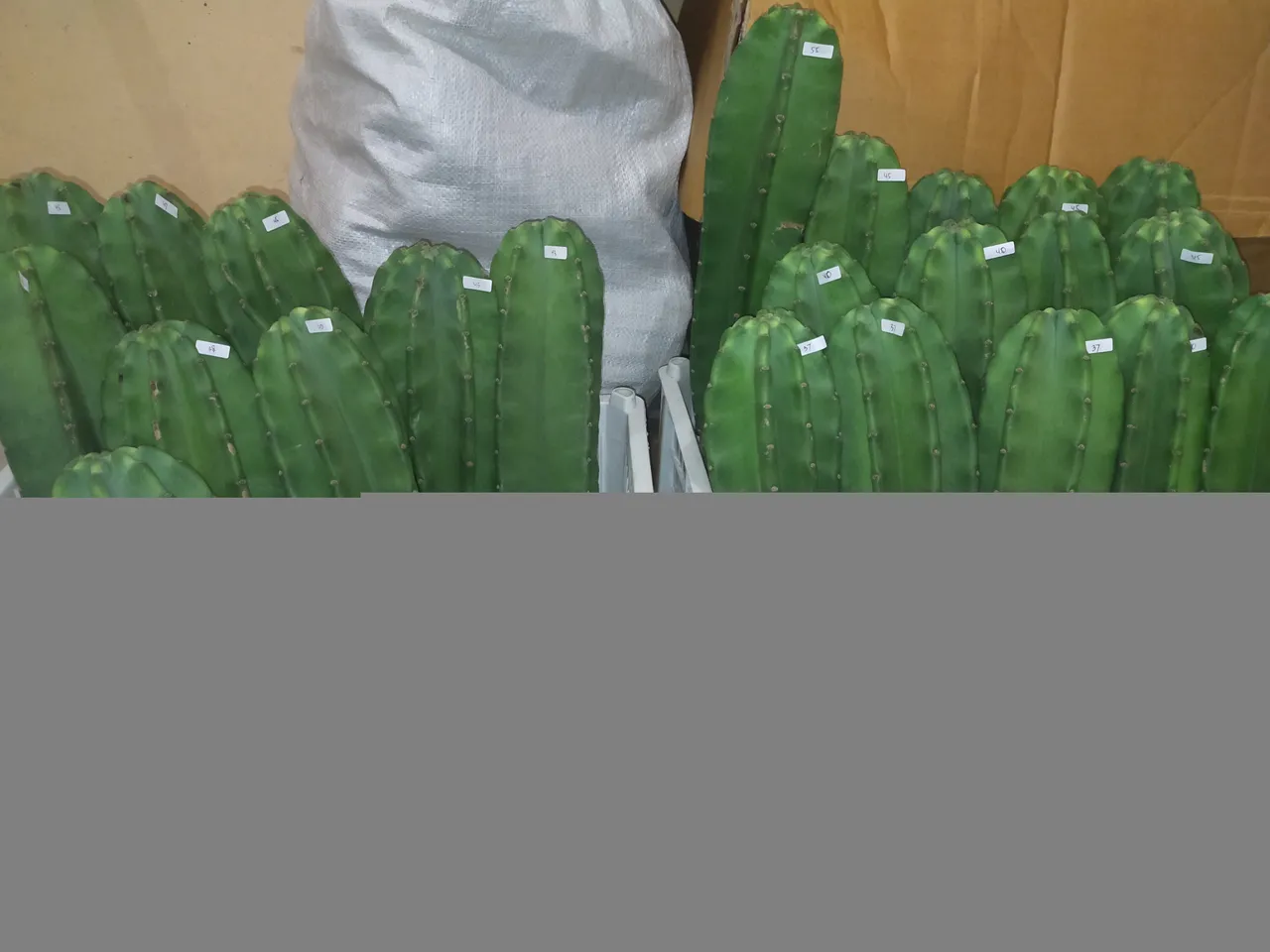 IMG20201128184137.jpg