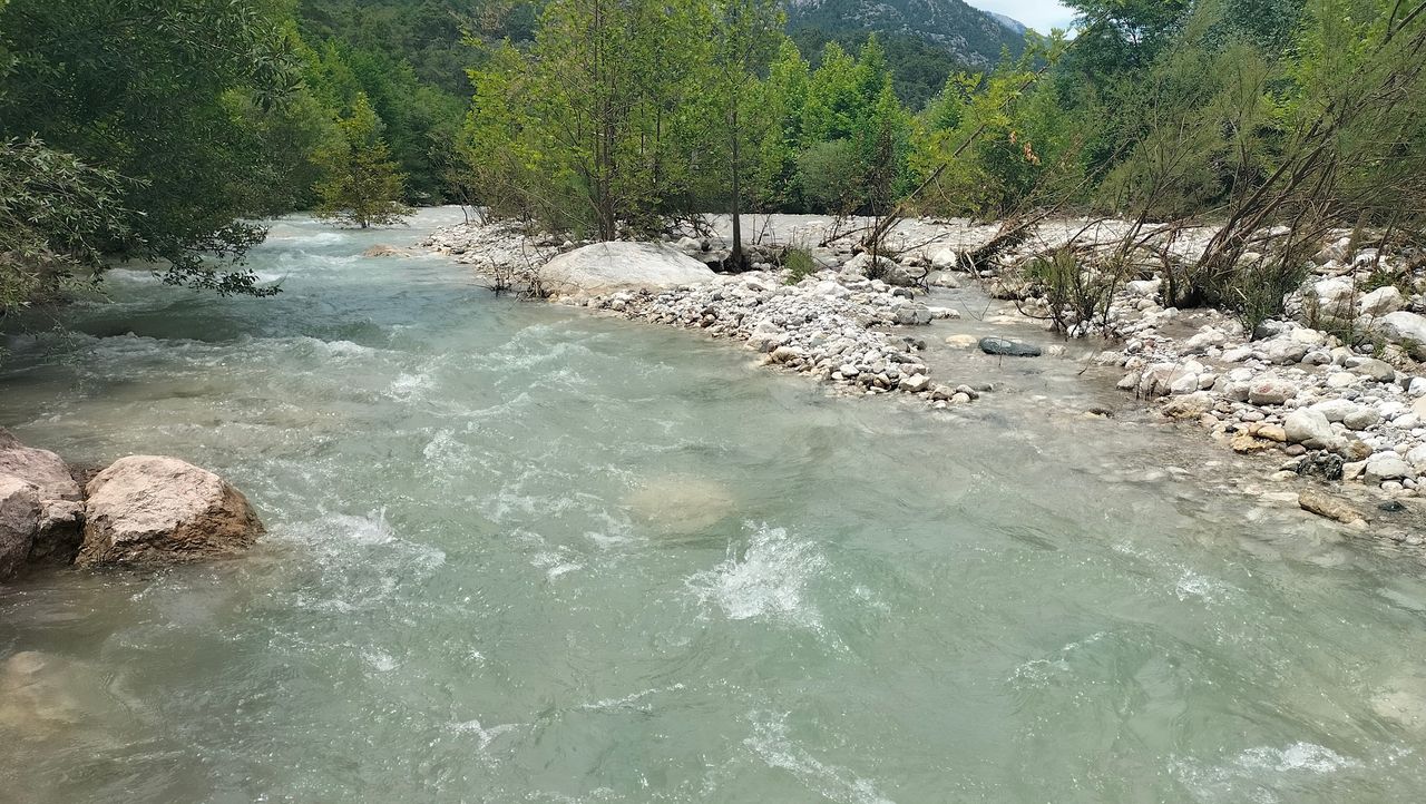 IMG20260519135206.jpg