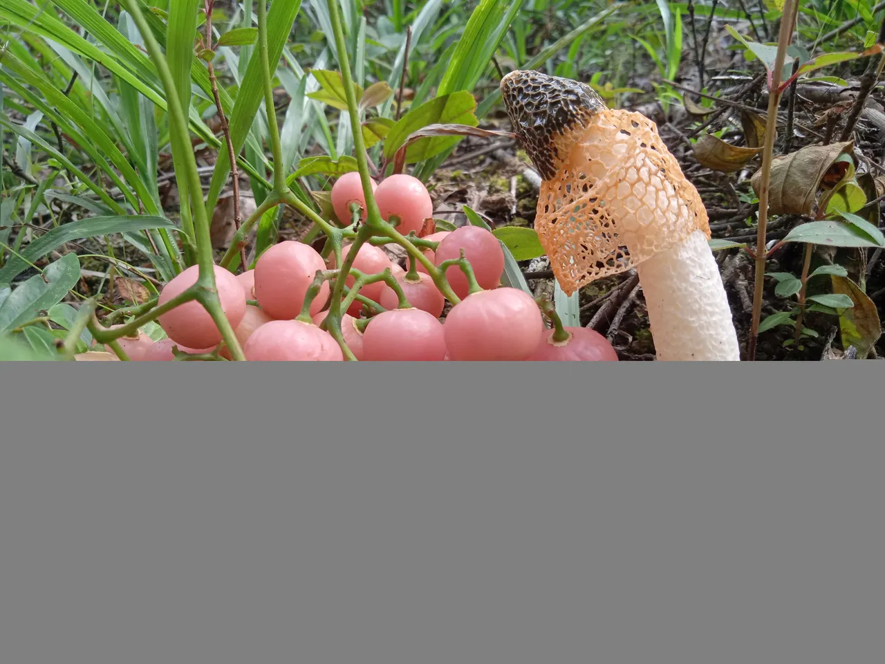 IMG20220713094329.jpg