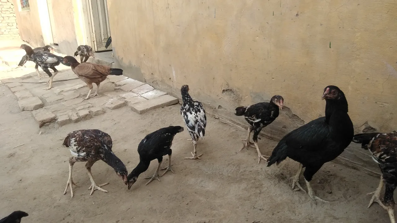 IMG20210904082851.jpg