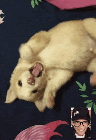 GIF-210329_101259.gif