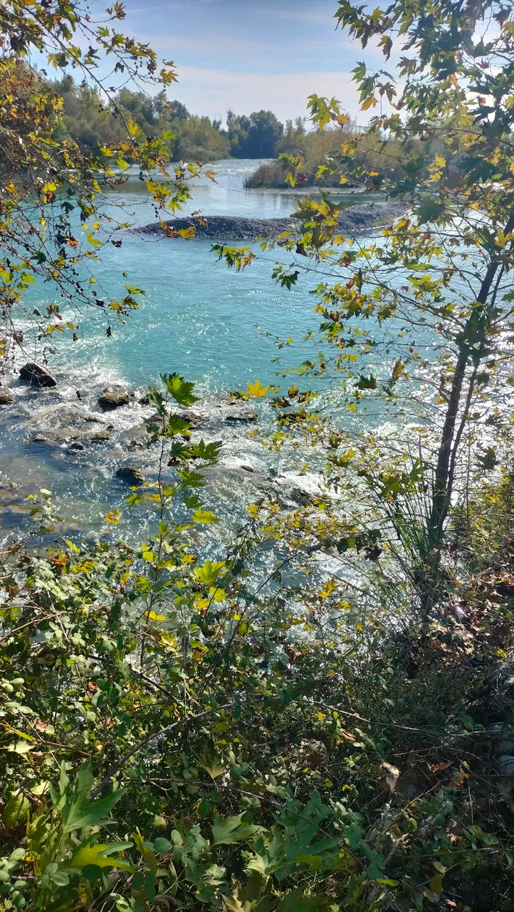 IMG20251101150228.jpg