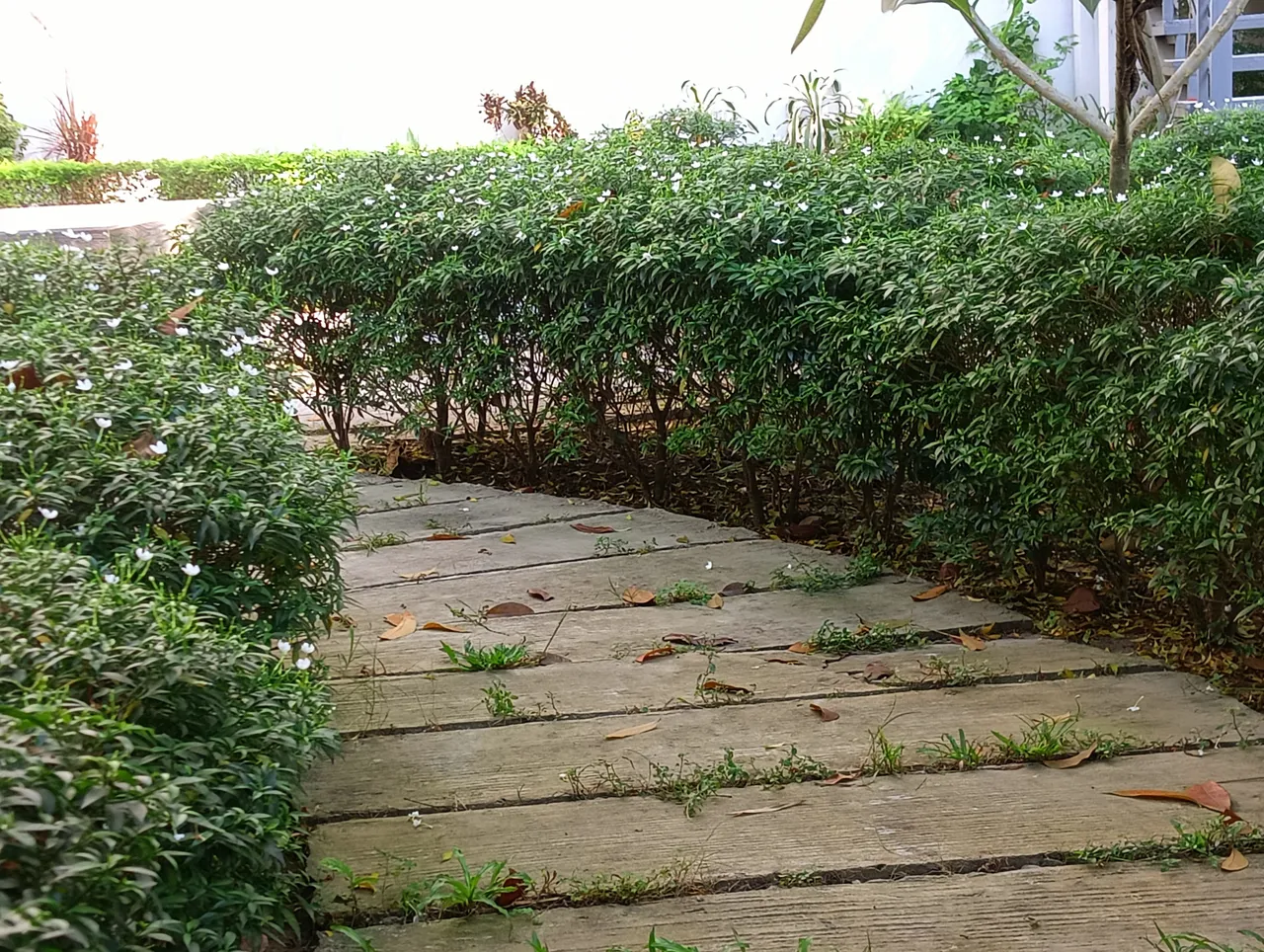 IMG20251020142324.jpg