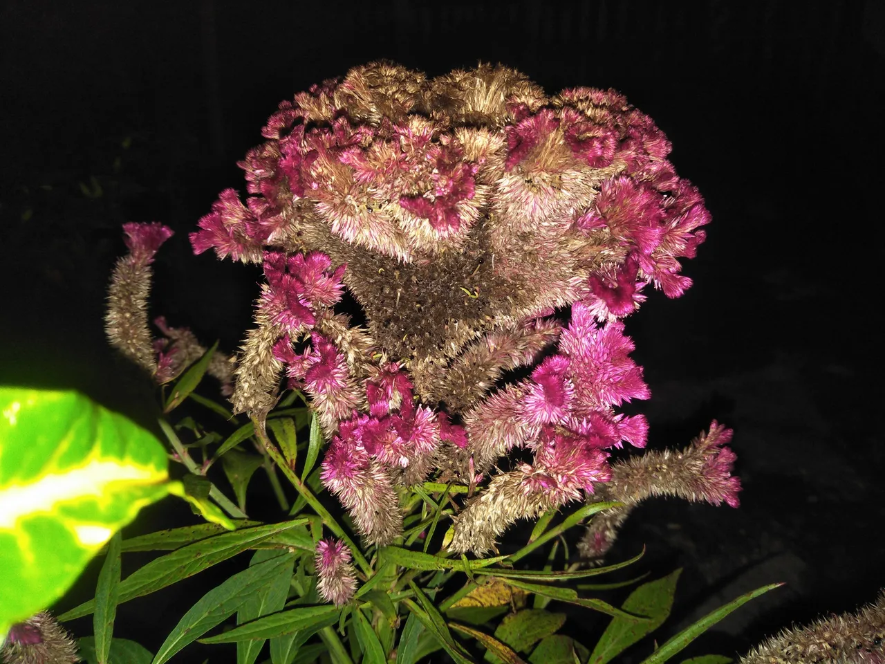 IMG20211112230310.jpg