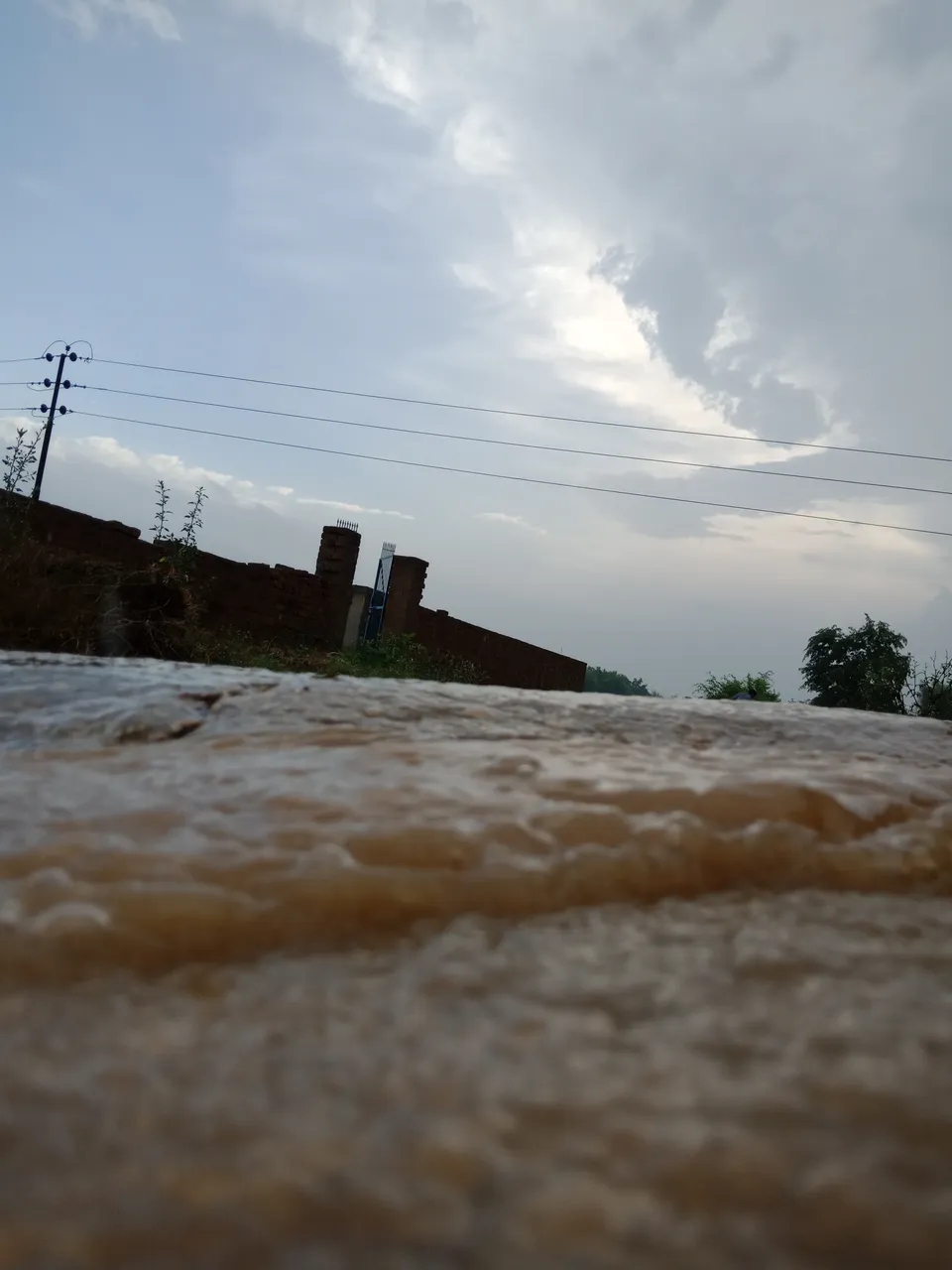 IMG20200814080723.jpg