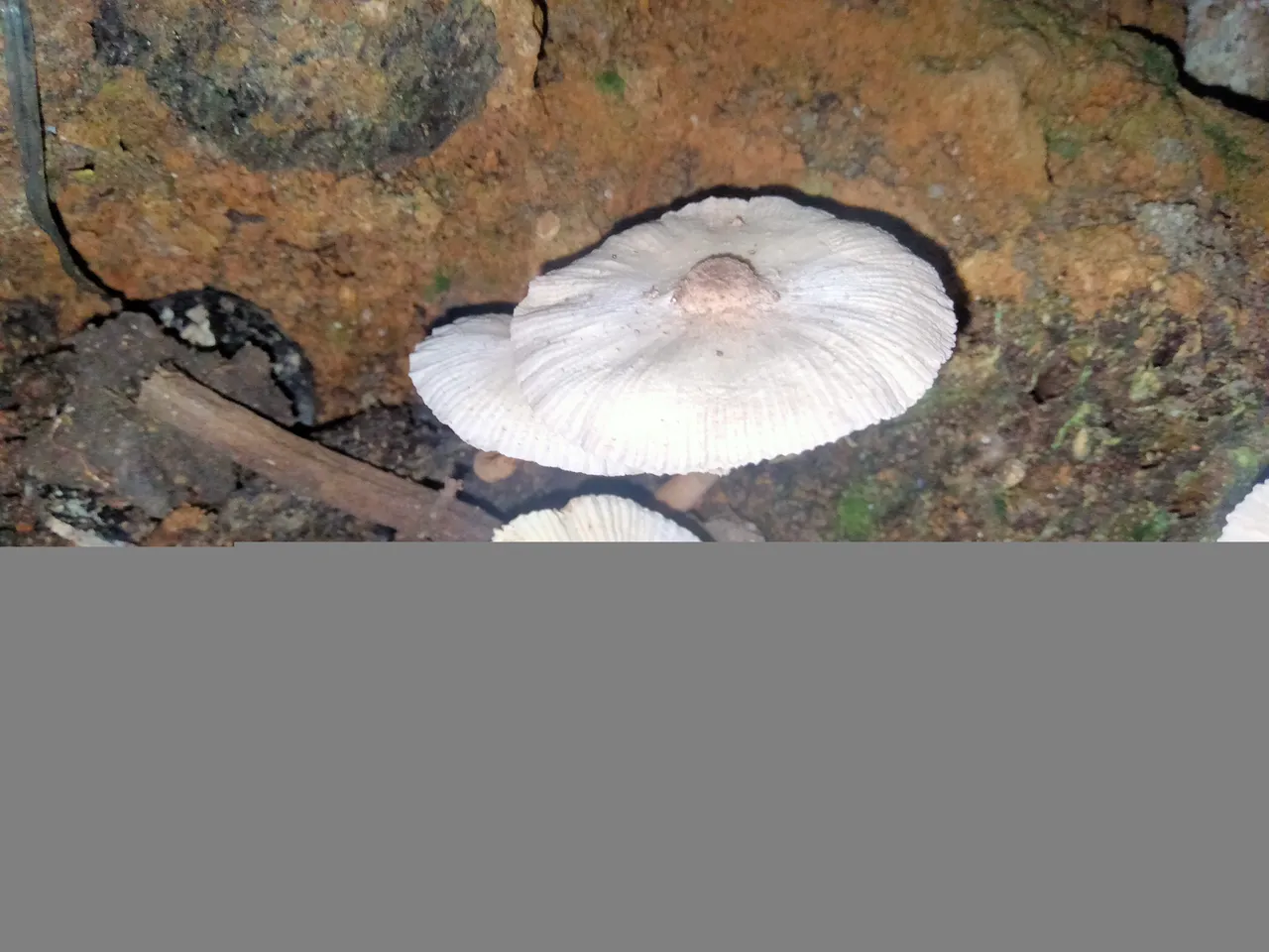 IMG20221101190934.jpg