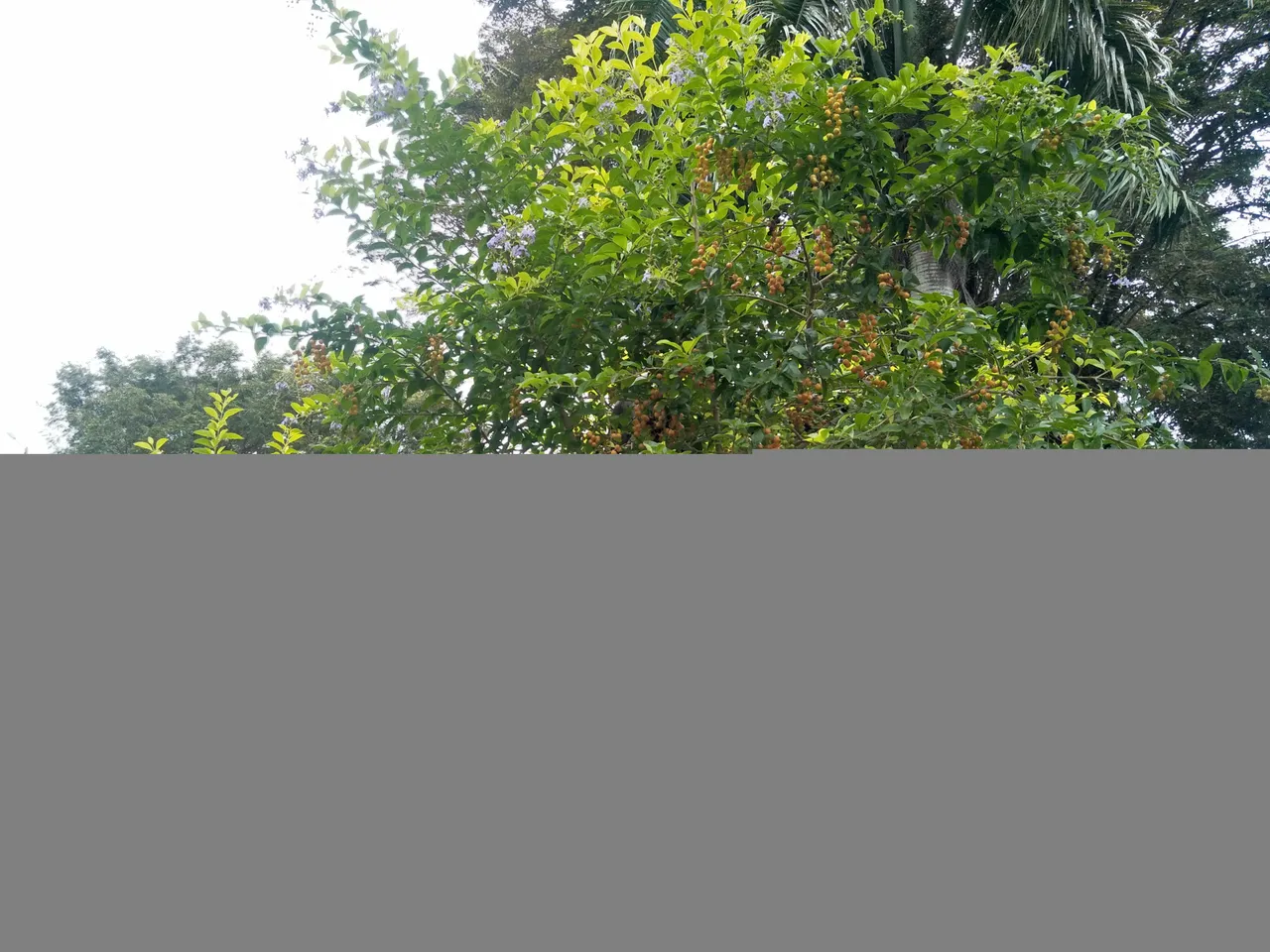IMG20211112110912.jpg